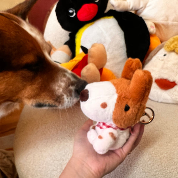 Roscoe the Cattle Dog Plushie (PREORDER)